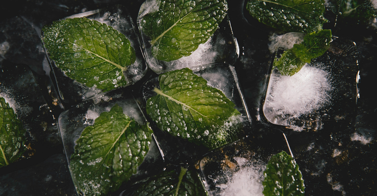 Frozen Mint in cubes